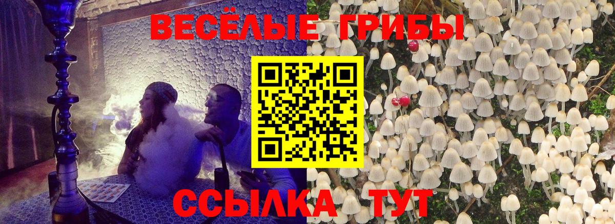 Псилоцибиновые грибы мухоморы Ивантеевка